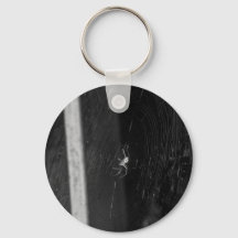 Aranha de porão