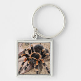 Chaveiro Aranha Vermelha Mexicana Tarantula