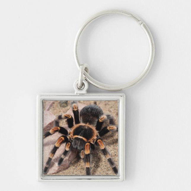 Chaveiro Aranha Vermelha Mexicana Tarantula (Frente)