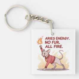 Chaveiro Aries Energy Sphynx Cat No Fur All Fire Art