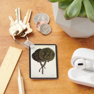 Chaveiro Arraias-lixas dos raios de Sting do vintage,