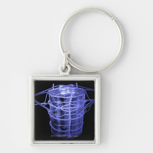 Chaveiro Artérias que cercam a parte da coluna espinal (Frente)