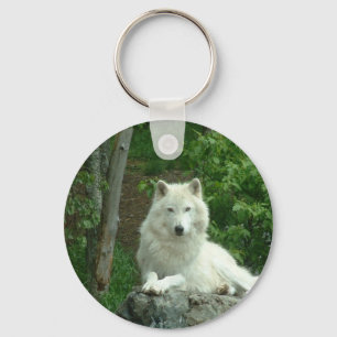 Chaveiro ártico do lobo