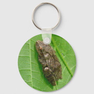 Chaveiro Artigos de Treefrog do Peeper de primavera