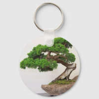 Árvore bonsai- natural