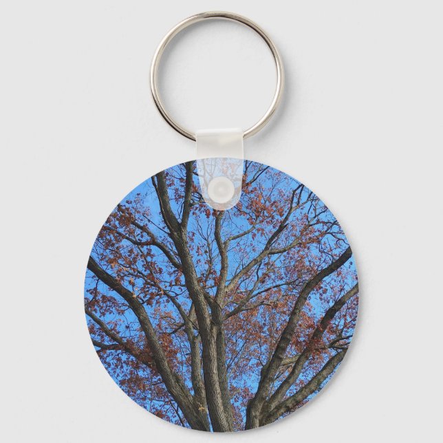 Chaveiro Árvore de carvalho em um céu azul de outono - (Frente)