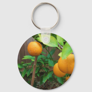 Chaveiro Árvore laranja