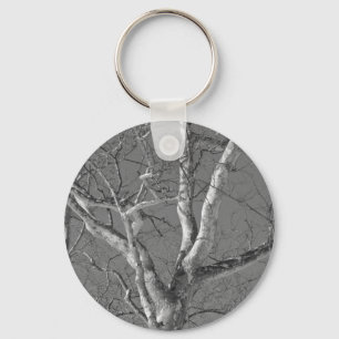 Chaveiro Árvore Sycamore Contra Itens Do Céu De Inverno