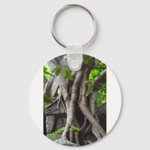 Chaveiro As ruínas de um templo perderam em uma selva