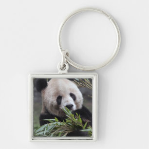 Chaveiro Ásia, China Chongqing. Panda Gigante
