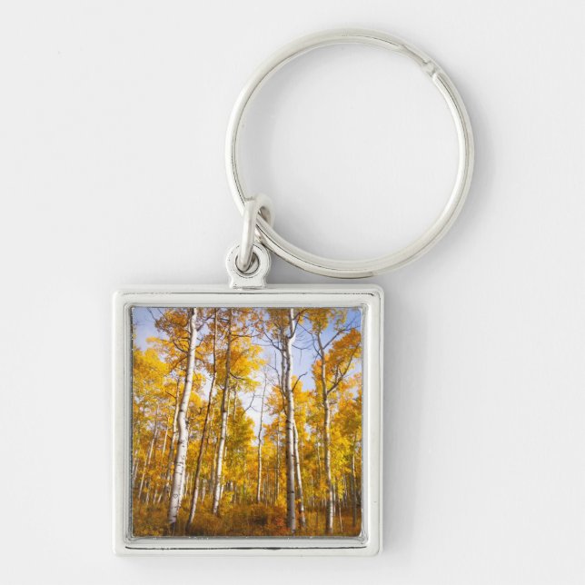 Chaveiro Aspen Groove Yellow Fall Folies (Frente)