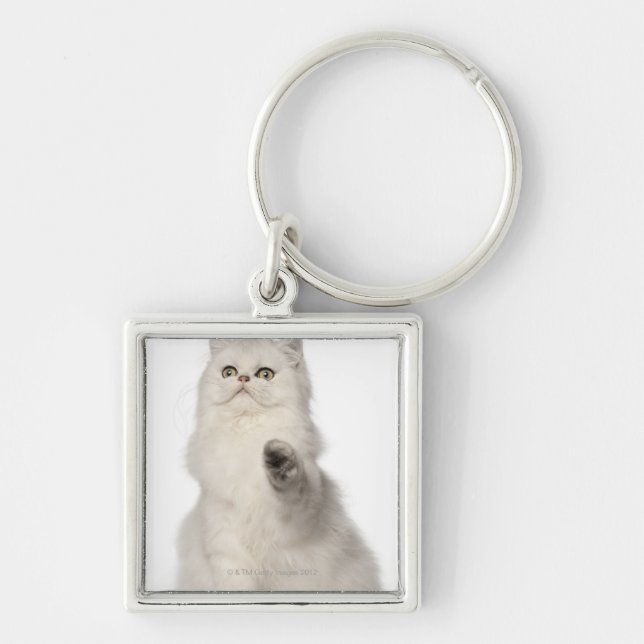 Chaveiro Assento do gato persa (Frente)