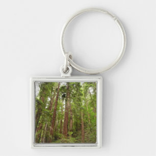 Chaveiro Até Redwoods I em Muir Woods National Monument