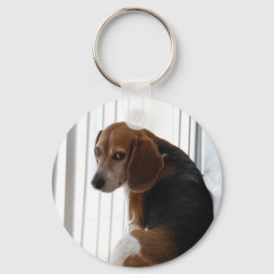 Chaveiro atitude do beagle