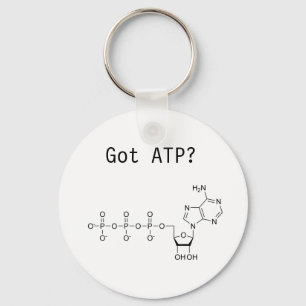Chaveiro ATP obtido?