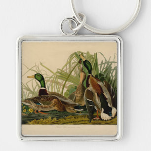 Chaveiro Audubon Mallard Duck