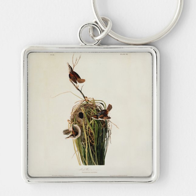 Chaveiro Audubon Marsh Wren Bird Art (Frente)