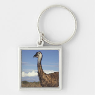 Chaveiro Austrália, Austrália Ocidental. Emu (Dromaius