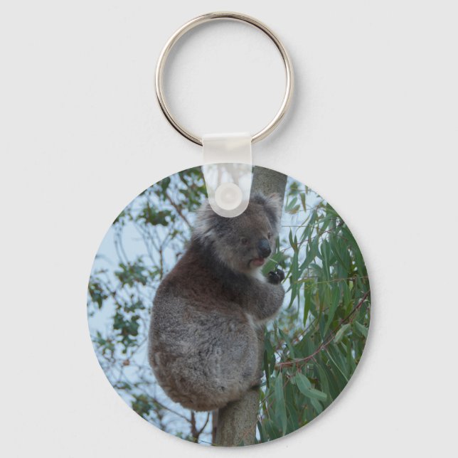 Chaveiro Austrália Kangaroo Island Koala em uma árvore (Frente)