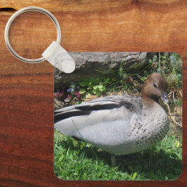 Chaveiro Australian Wood Duck in Tranquil Garden