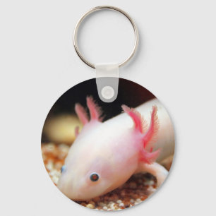 Chaveiro Axolotl Weißling