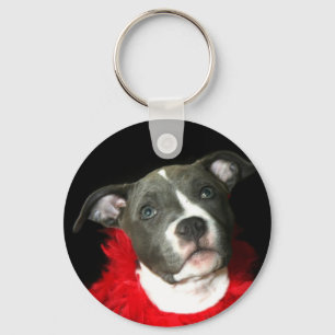 Chaveiro azul do filhote de cachorro de Pitbull
