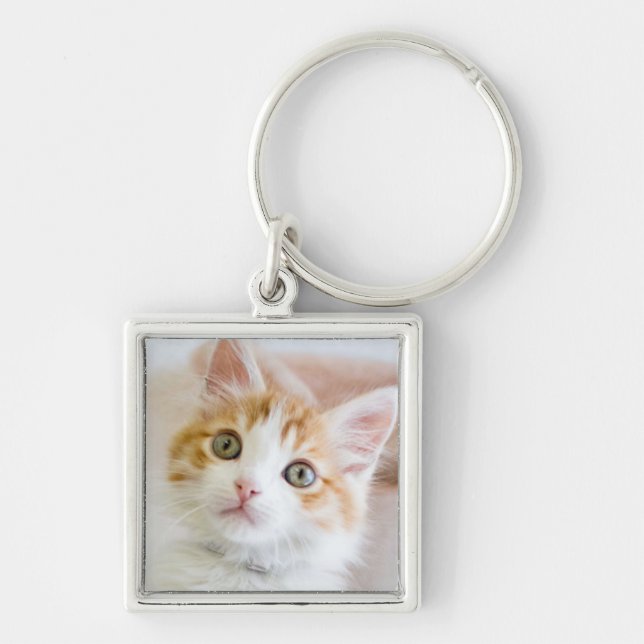 Chaveiro Azul doce gatinho Eyed (Frente)