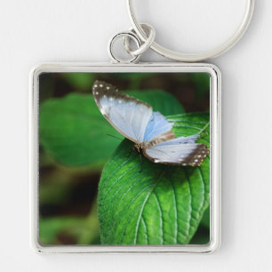 Chaveiro Azul Morpho 112
