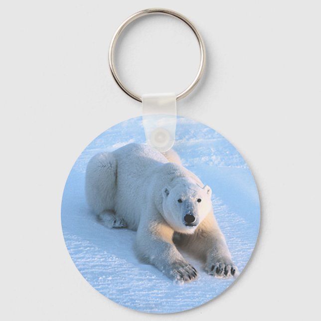 Chaveiro Azul Urso Polar (Frente)