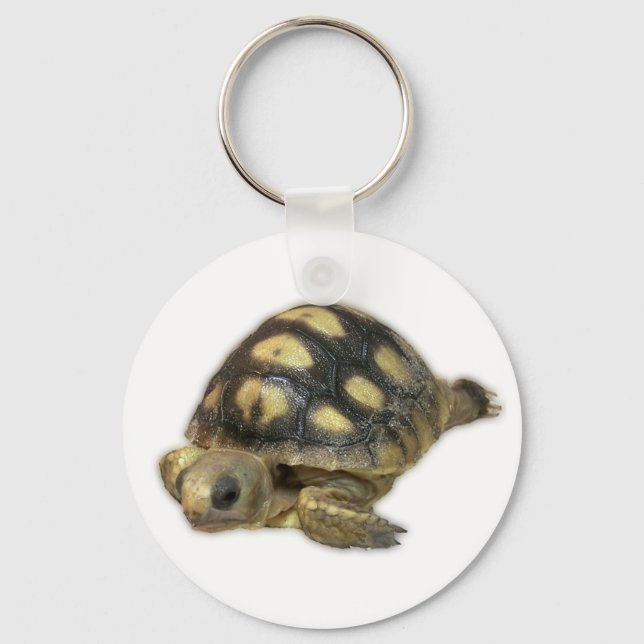 Chaveiro Baby Ghopher Tortoise (Frente)