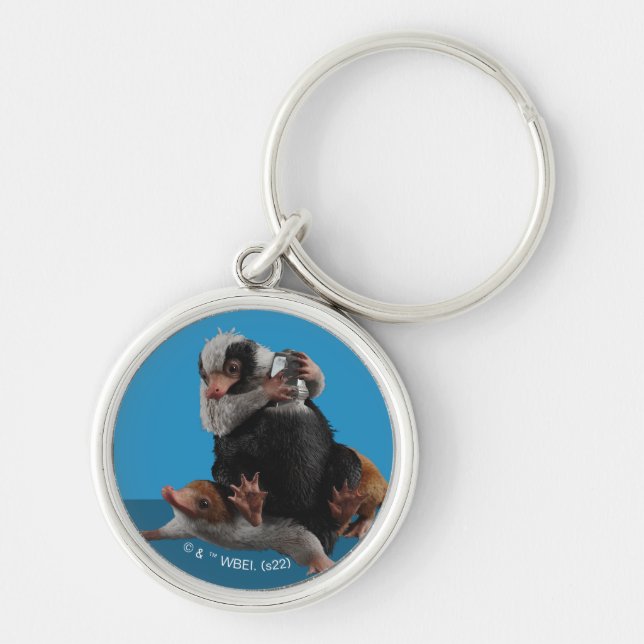 Chaveiro Baby Nifflers Encontra Prêmio (Frente)