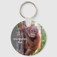 Baby Orangutan em árvore