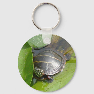 Chaveiro Baby Painted Turtle on Lilypad Items