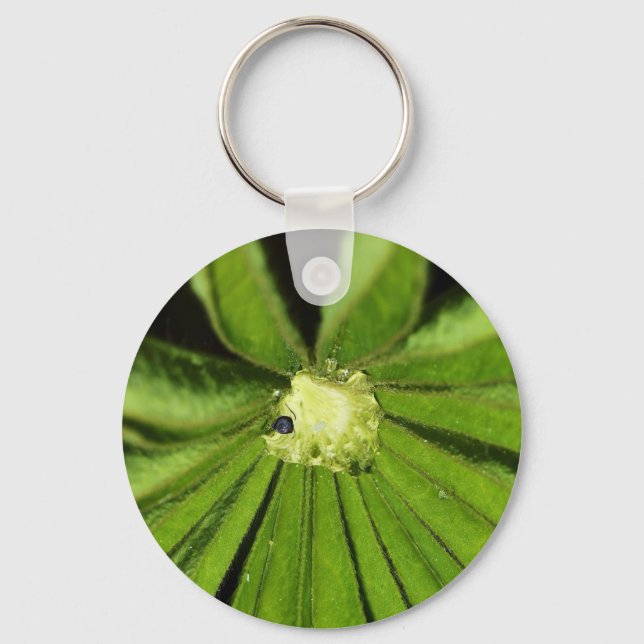 Chaveiro Baby Palm Plant por Shirley Taylor (Frente)