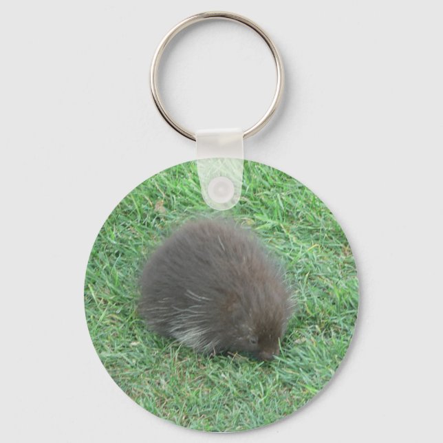 Chaveiro Baby Porcupine (Frente)