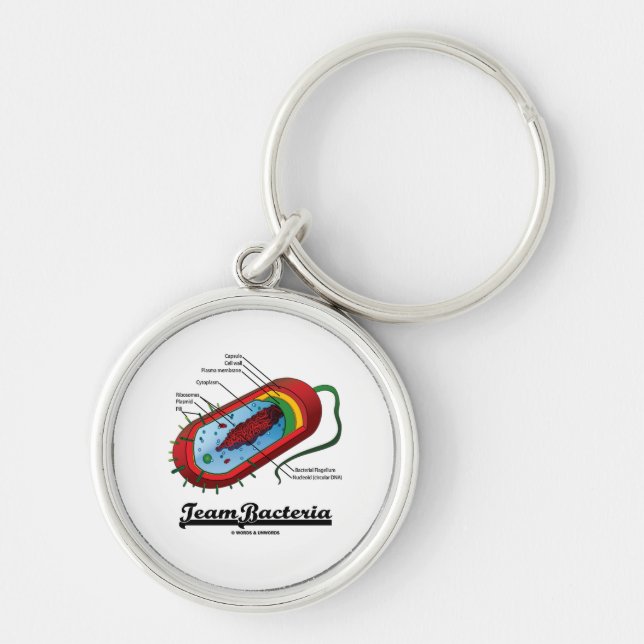 Chaveiro Bactérias da equipe (Prokaryote) (Frente)