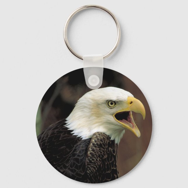 Chaveiro Bald Eagle (Frente)