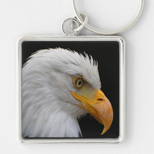 Chaveiro Bald Eagle