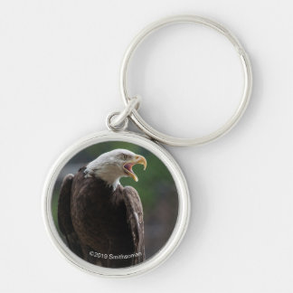 Chaveiro Bald Eagle Calling