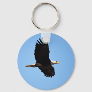 Chaveiro Bald Eagle Soar