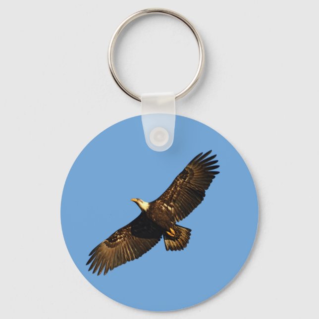 Chaveiro Bald Eagle Soaring 2 (Frente)