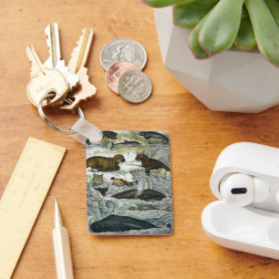 Chaveiro Baleias-Vintage, focas e valsas, animais marinhos