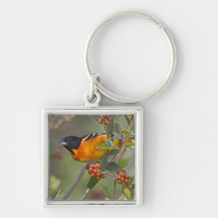 Chaveiro Baltimore Oriole
