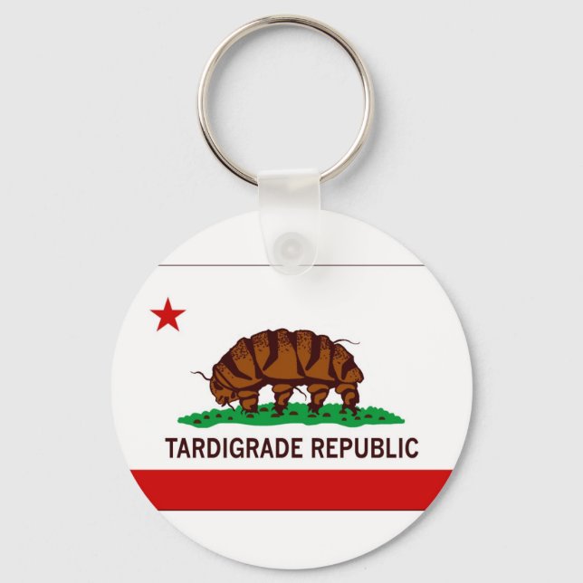 Chaveiro Bandeira da República Tardigrada (Frente)