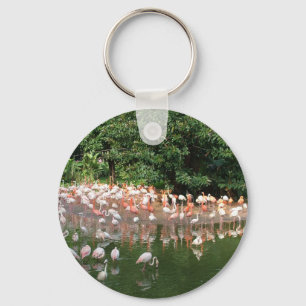 Chaveiro bando de flamingos