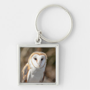 Chaveiro Barn Owl