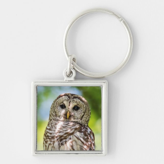 Chaveiro Barred Owl (Frente)