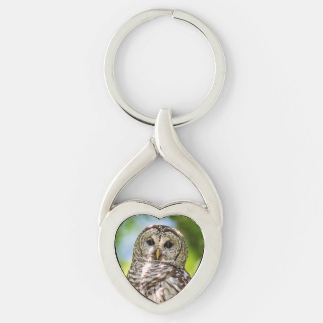 Chaveiro Barred Owl (Frente)