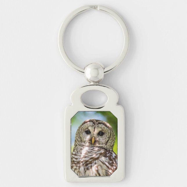 Chaveiro Barred Owl (Frente)