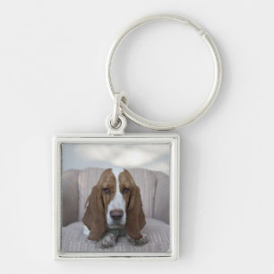 Chaveiro Basset Hound